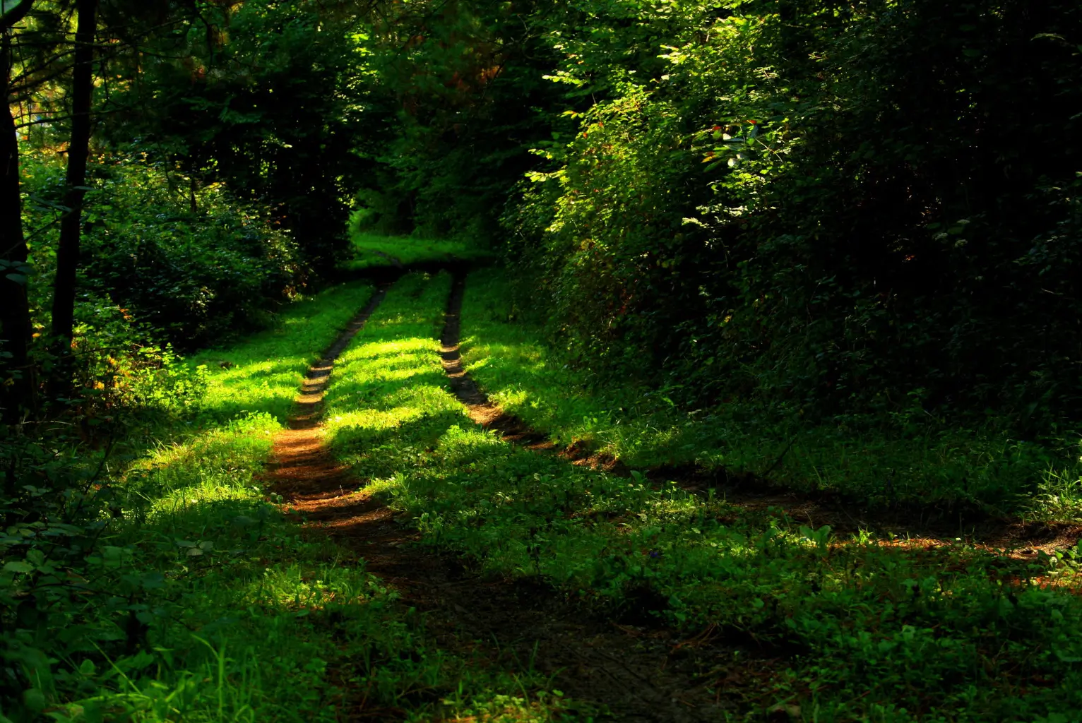 33697908254_6a30e29d8d_k-1