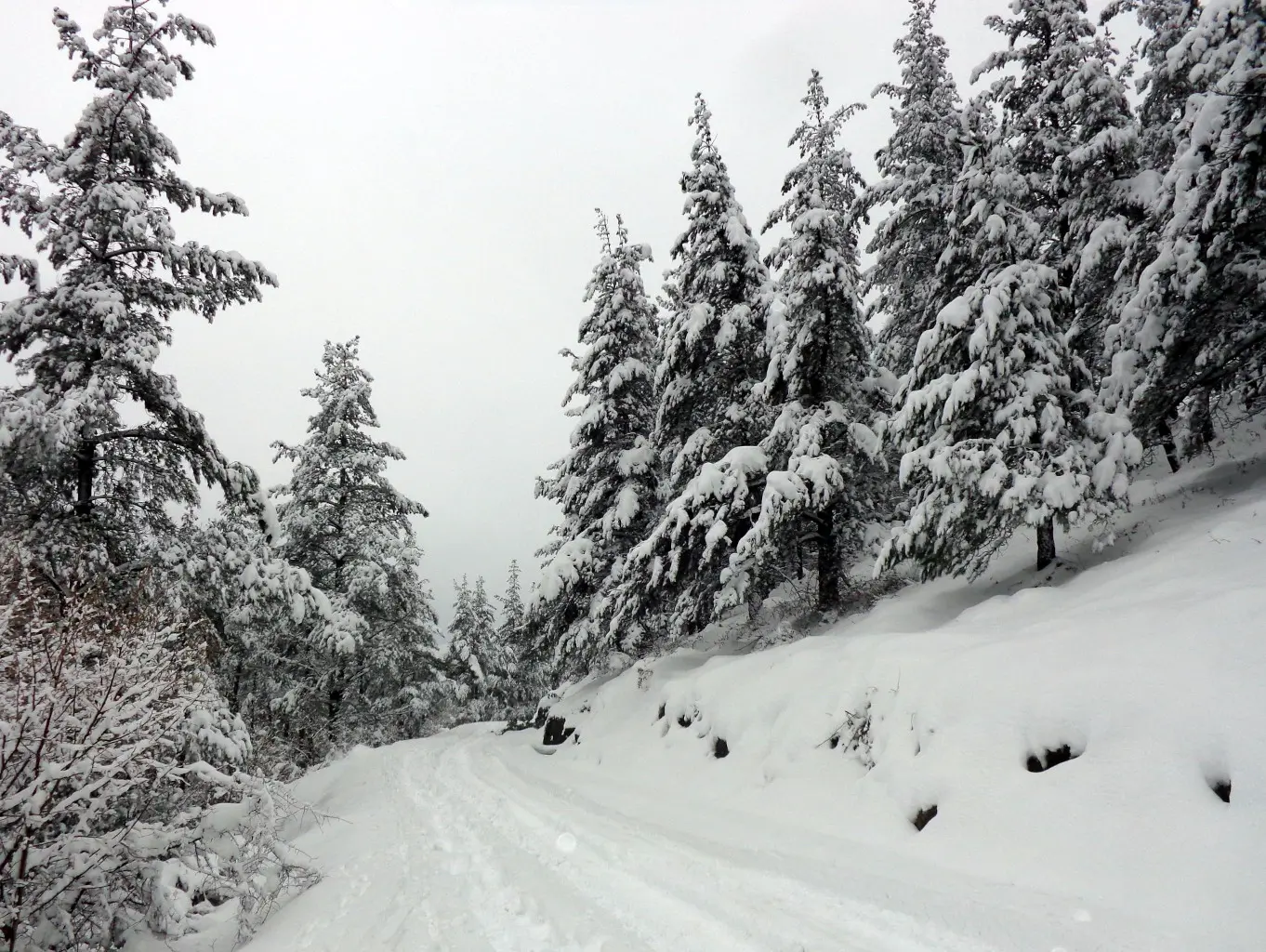 33698139324_93c5225915_k-1