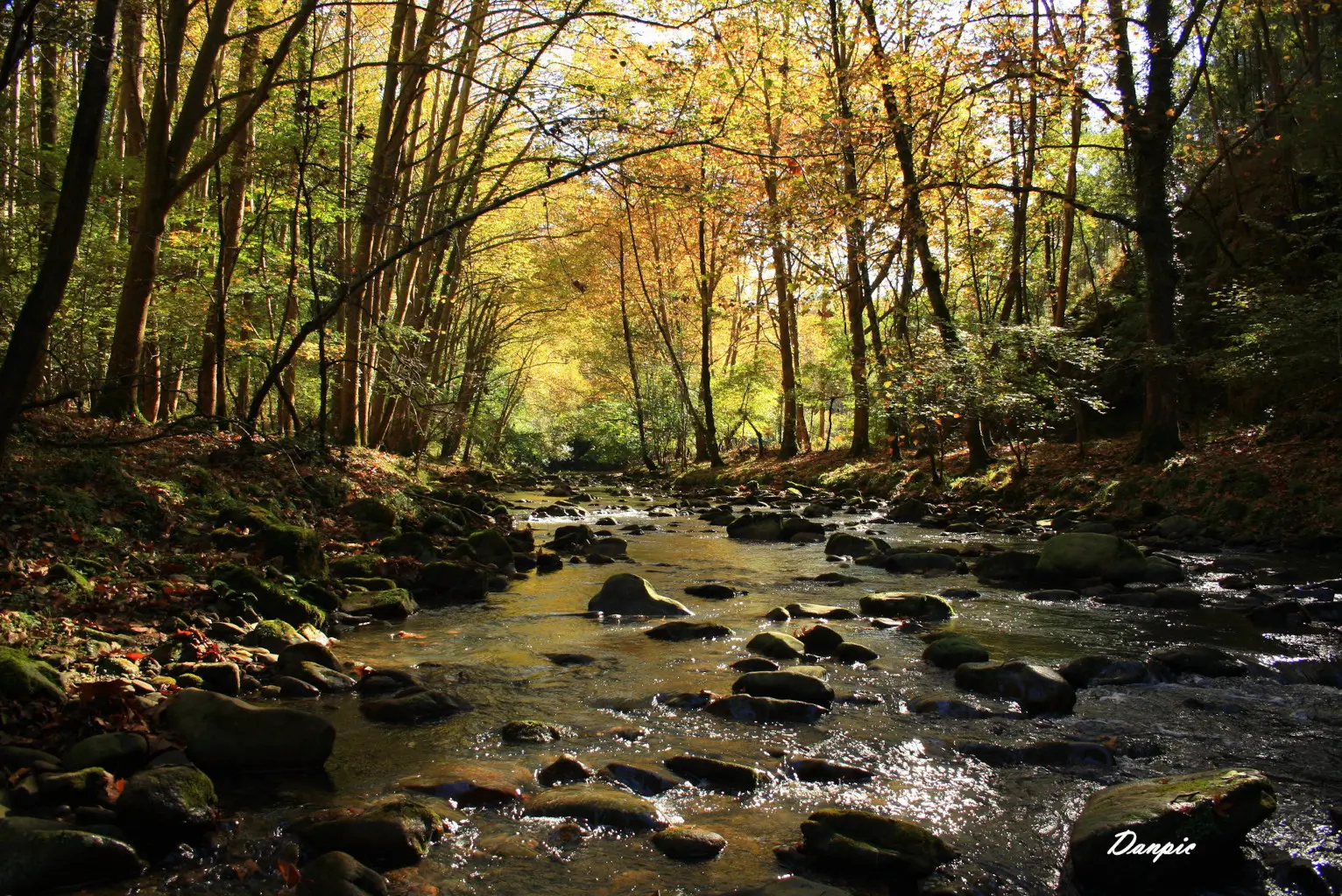 33751803883_0324bf813d_k-1