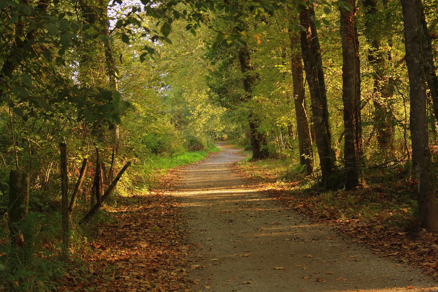 34154696930_f1282d97e2_k-1