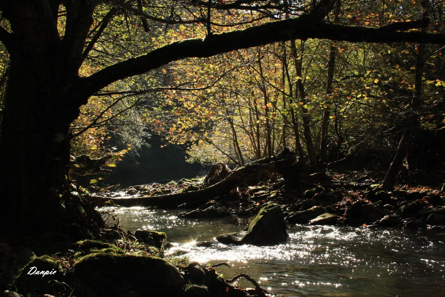 34400605162_a9fbdaa39b_k-1