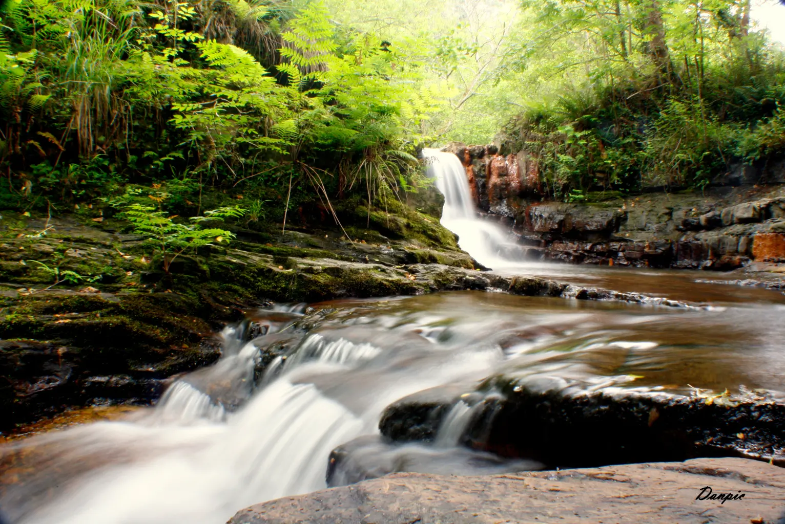 34400643962_88acfd6a63_o-1