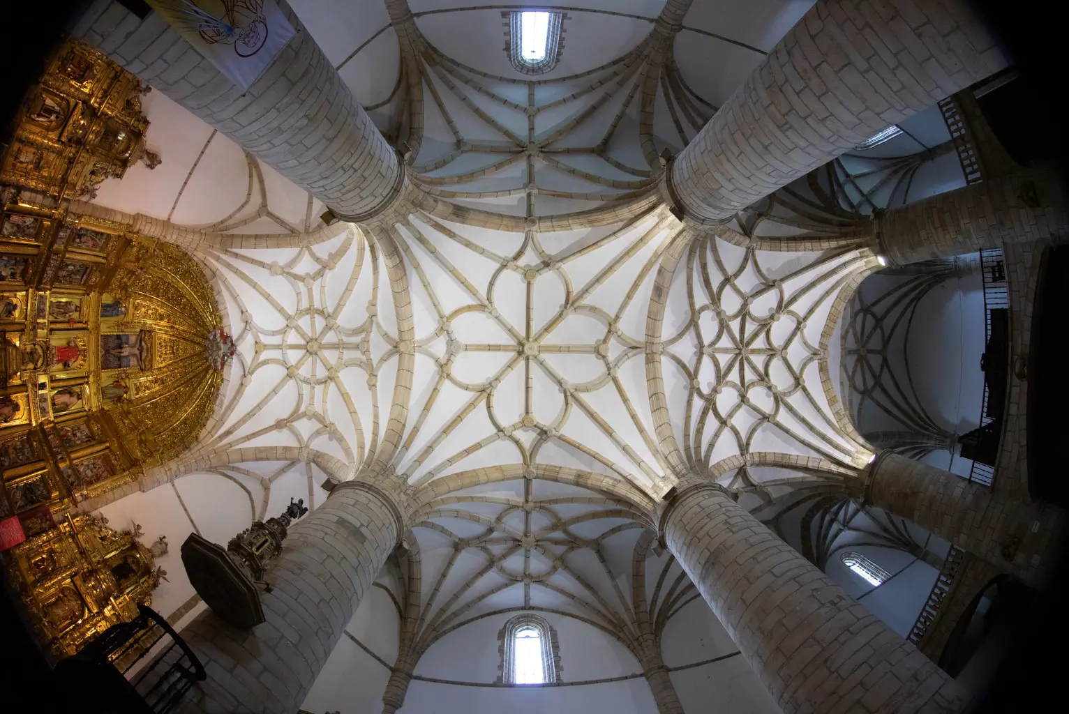 51936890879_0736220ae2_k-1